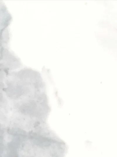 Collection Classic - Calacata