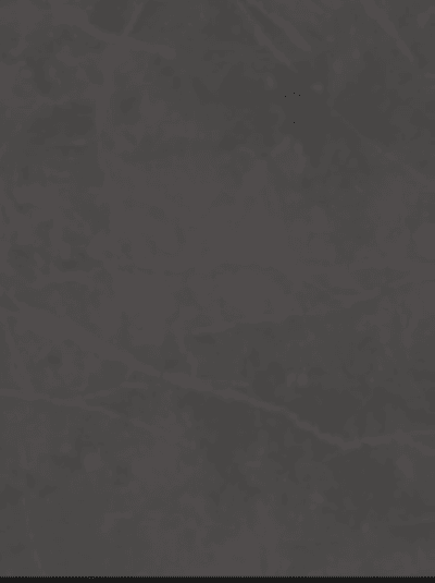 Collection Lamarca – Nero Venato