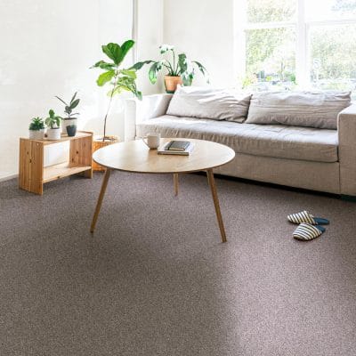 EXPECT MORE (S) - E0473