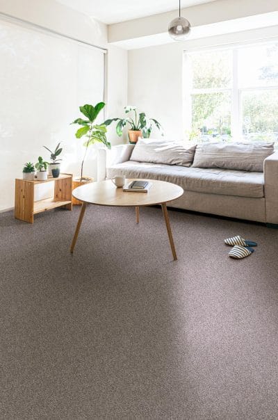 EXPECT MORE (S) - E0473