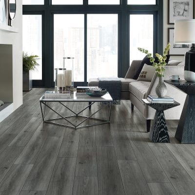 Paragon 7" Plus - 1020V
