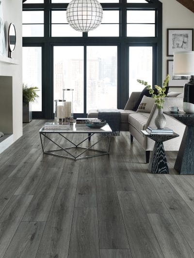 Paragon 7" Plus - 1020V