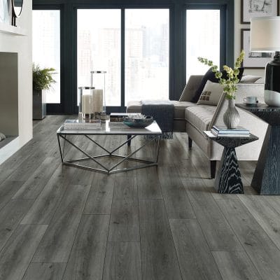 Paragon 7" Plus - 1020V