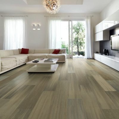 PRODIGY HDR MXL PLUS - 2039V