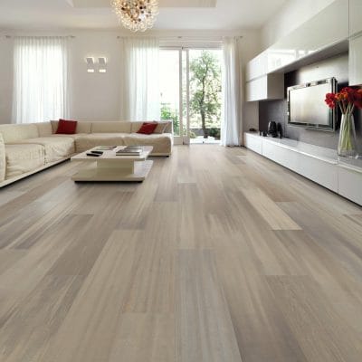 PRODIGY HDR MXL PLUS - 2039V