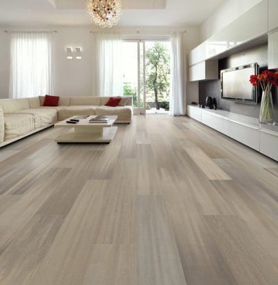 PRODIGY HDR MXL PLUS - 2039V