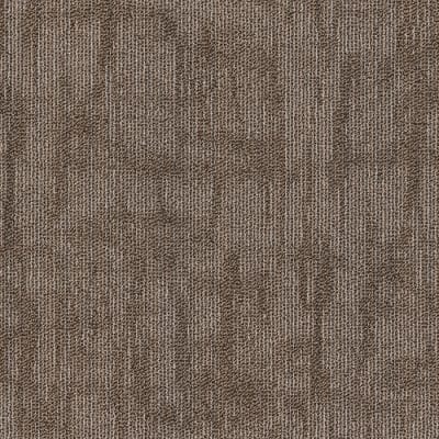 CRACKLED - 54871