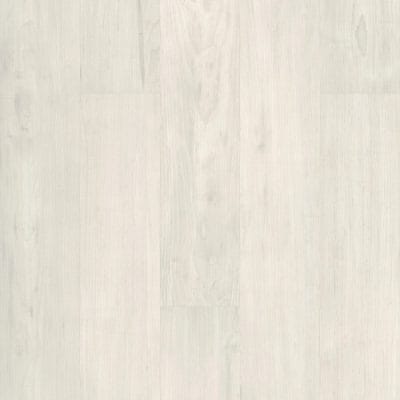 Purview 20 - 5036V