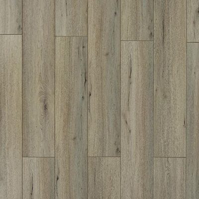 TOUCAN TF 6201 - 2.56$ / pi²