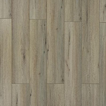 TOUCAN TF 6201 - 2.56$ / pi²