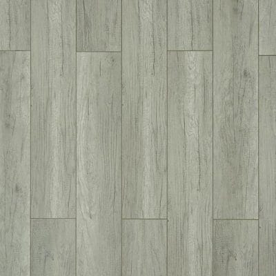 TOUCAN TF 6209 - 2.56$ / pi²