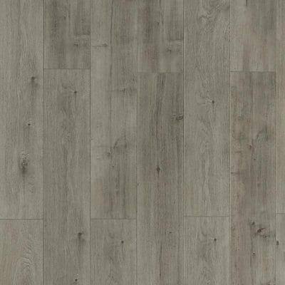 TOUCAN TF 6303 - 2.56$ / pi²