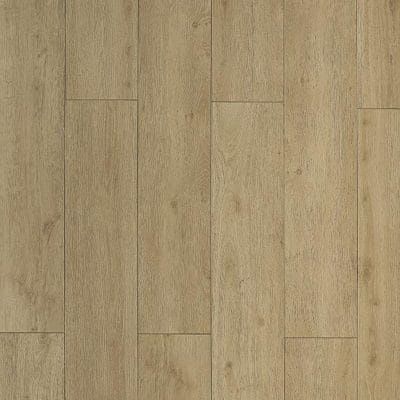 TOUCAN TF 6307 - 2.56$ / pi²
