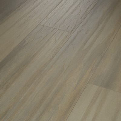 PRODIGY HDR MXL PLUS - 2039V