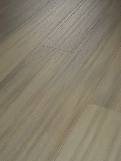 PRODIGY HDR MXL PLUS - 2039V