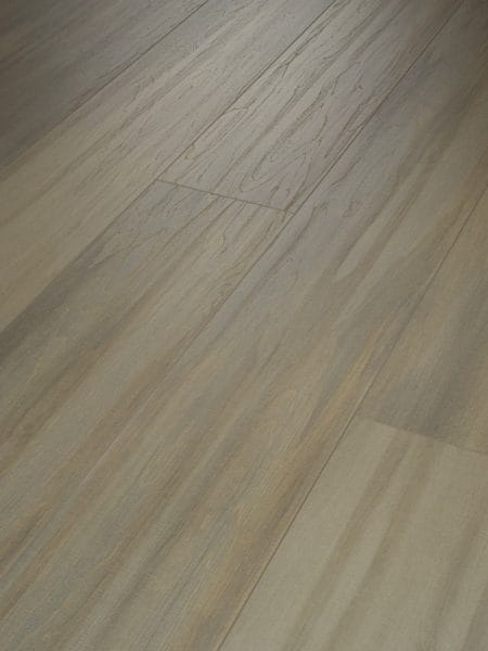 PRODIGY HDR MXL PLUS - 2039V