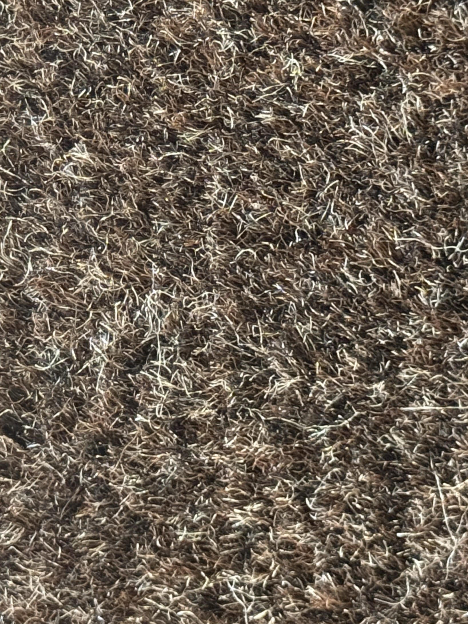 tapis-hiver-elite-super-noyer